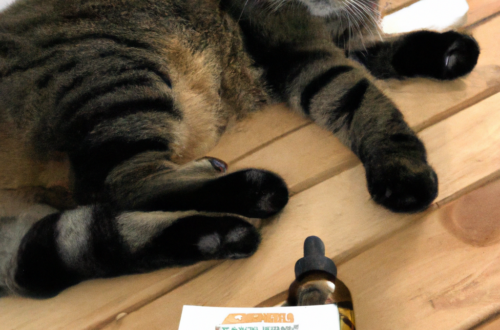 Erfaringsrapport: Min Kat har ændret sig Til Det Bedre efter at Have Taget CBD Olie