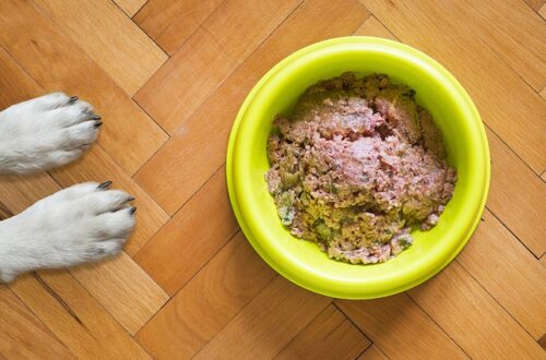 Hundefoder tilpasset din hunds behov: Essential Foods' skræddersyede løsninger
